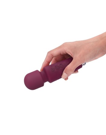  sextoys : mini wanderful or et rose