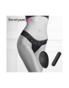  sextoys  marque love to love  sextoys secret panty 2