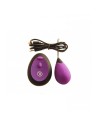 oeuf vibrant rechargeable violet g1