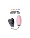 my vibrating secret egg  rose clara morgane