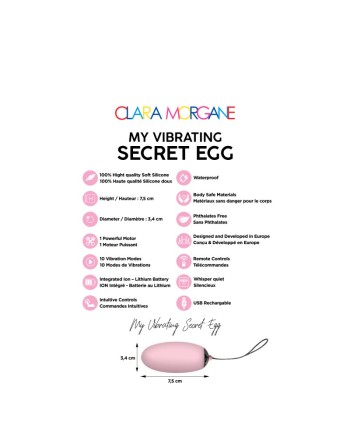 my vibrating secret egg  rose clara morgane