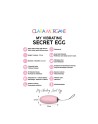 my vibrating secret egg  rose clara morgane