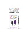 my vibrating secret egg  violet clara morgane