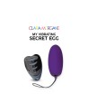 my vibrating secret egg  violet clara morgane