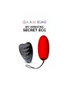 my vibrating secret egg  rouge clara morgane