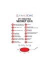 my vibrating secret egg  rouge clara morgane