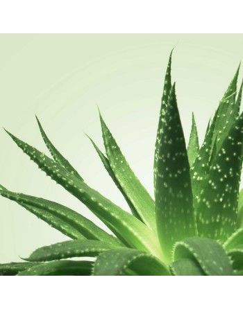  mixgliss gel de massage  nu aloe vera 250 ml